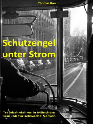 cover image of Schutzengel unter Strom